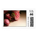 Pink Roses postage