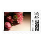 Pink Roses stamp