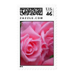 Pink Roses Postage