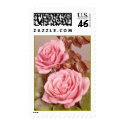 Pink Roses Postage Stamps stamp