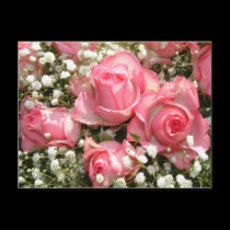 Pink Roses | postcards by celtxian Pink Roses | postcards