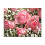Pink Roses | postcards