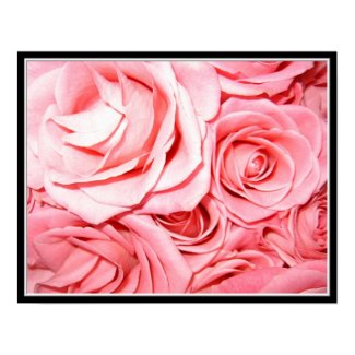 Pink Roses print