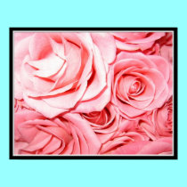 Pink Roses posters by Artists4God Pink Roses posters