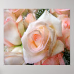 Pink Roses Posters