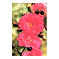 Pink Roses Poster - Digital Photo Floral Art posters