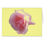 Pink Roses single or a bouquet Card