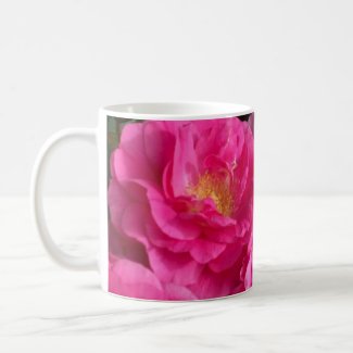 Pink Roses Spring Garden Coffee Mug