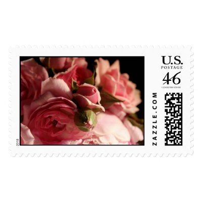 Pink Roses Stamps