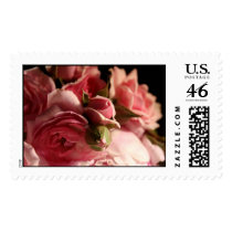 Pink Roses Stamps