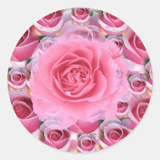 Pink Roses Sticker Zazzle