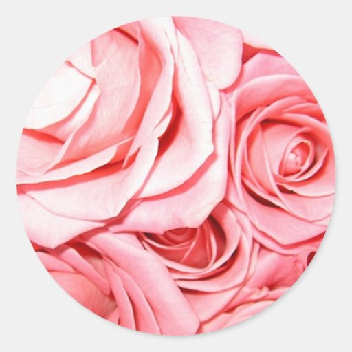 Pink Roses Stickers