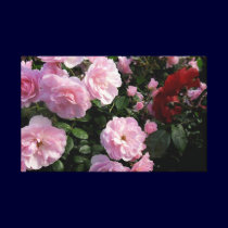 Pink Roses Stretched Canvas Print canvas prints
