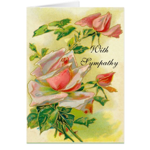 Pink Roses Sympathy Card Zazzle