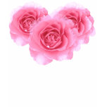 Pink Roses Tee Shirt