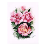 print, roses, pink roses, suzanne schaefer