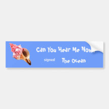 Pink Sandy Conch Shell Bumper Stickers