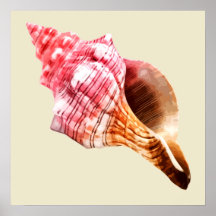 Pink Sandy Conch Shell Posters