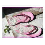 Pink sandy flip flop sandals on Florida beach Postcard