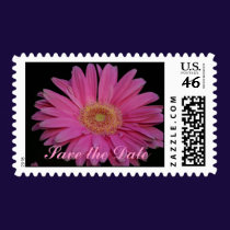 Pink - Save the Date