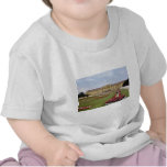 Pink Schonbrunn Castle, Vienna, Austria flowers Tee Shirt