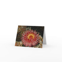 Pink Sea Anenome Notecard by saveena Pink Sea Anenome Notecard