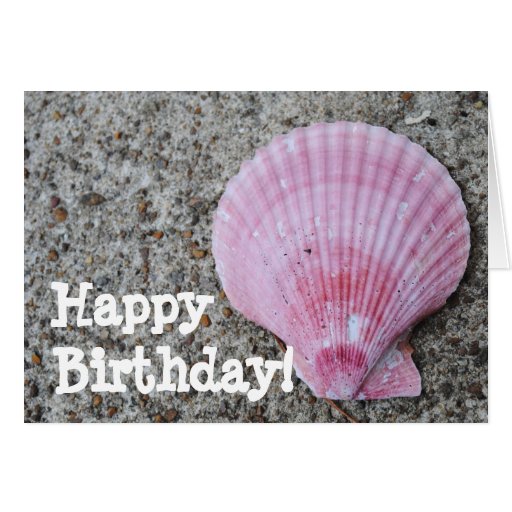 pink-sea-shell-happy-birthday-card-zazzle