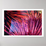Pink Sea Urchins posters