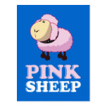 Pink Sheep of the Family Postcard