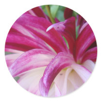 pink shot stickers by Elfain pink shot stickers