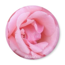 Pink Single Rose Closeup magnets by mickeyelvis128 Pink Single Rose Closeup magnets