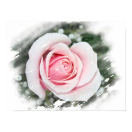 Pink Single Rose Faded and Rubbed print