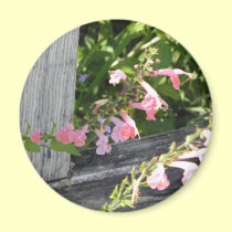 Pink Snapdragons from the Everglades magnets
