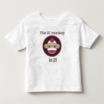 Pink Sock Monkey: Second Birthday Shirt