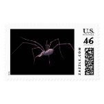 Pink spidephant stamp (black)