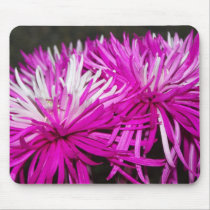 Pink Spider Mums mousepads