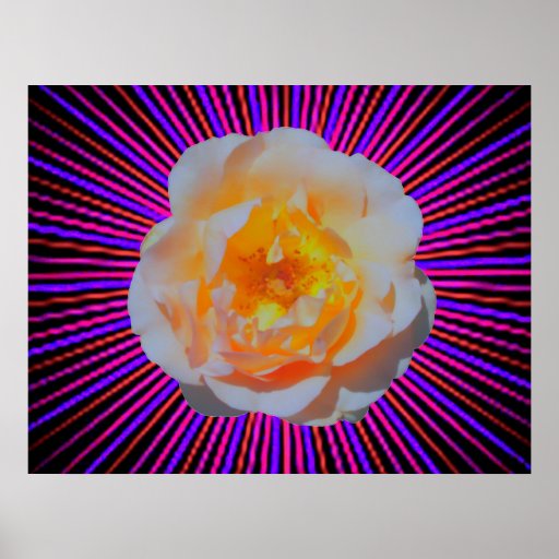 Pink Spirit Rose Posters