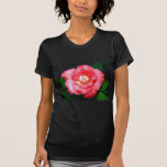 Pink splendor Ladies Dark Basic T-Shirt Template t-shirts