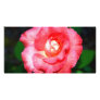 Pink splendor personalized photo card