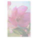 Pink Spring Blossoms Stationary Stationery Design