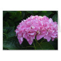 Pink Spring cards by pineappledesign Pink Spring cards