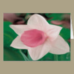 Pink Spring Floral Card cards