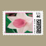 Pink Spring Postage stamps