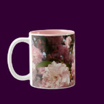 Pink Spring Tree Flowers