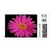 Pink Stamp