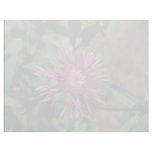 Pink Star Thistle, (Centaurea Jacea) flowers Letterhead