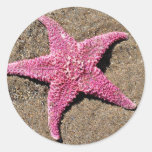 Pink Starfish Round Stickers