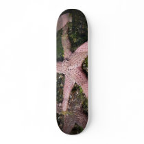 Pink Starfish Skateboard