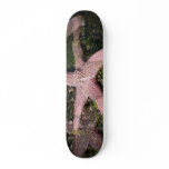 Pink Starfish Skateboard