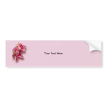 Pink Stargazer Lilies Bumper Sticker